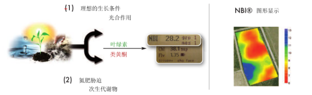 DUALEX SCIENTIFIC+植物氮平衡指數測量儀