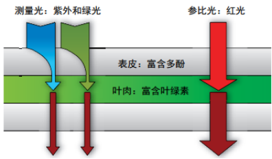 DUALEX SCIENTIFIC+植物氮平衡指數測量儀