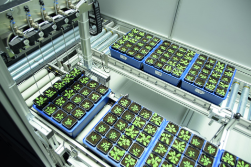 PlantScreen 小型表型分析系統