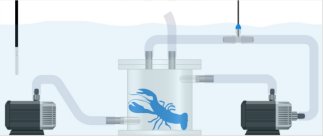 多通道水生生物呼吸代謝測量系統