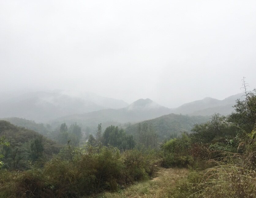 植物生理生態監測系統及自動氣象站助力棗樹培育