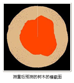 TRU樹木雷達檢測系統