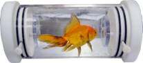 Q-Box AQUARESP水生生物呼吸代謝測量系統