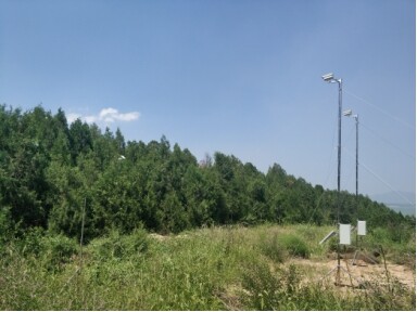 植物物候觀測系統在國內多地完成部署并交付使用