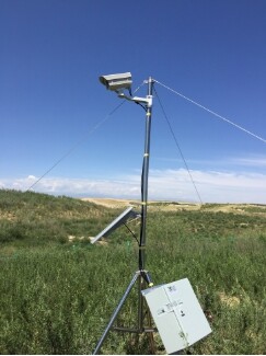 植物物候觀測系統在國內多地完成部署并交付使用